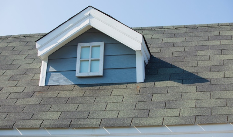 Shelling Out for Shingles: 5 Signs It’s Time to Replace Your Shingle Roof