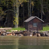 A cabin on a lake, isolated from city life